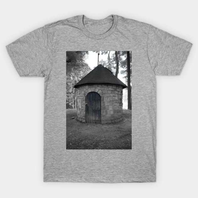 Blue Door T-Shirt by searchlight